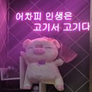인생은고기서고기 - 성북구 종암로22길 11 | 인생은고기서고기