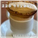 세화초등학교 | 제주 세화 가볼만한 곳 / 코코하 카카오패밀리 / 팜유없는 초콜릿 / 기념품 먹거리
