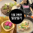 냠냠여행의 5월 3째주 일상 기록✨