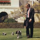 강아지 대통령 이미지