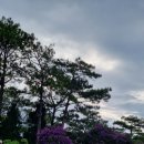 죽림화원