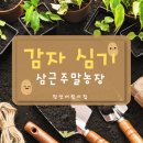정언농장 이미지