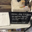 이어도회식당 | 함덕 횟집 백록집 노포감성 제주 고등어회 맛집 혼술 후기