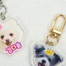 위드 마이 펫 이미지