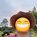 사직레포츠 이미지