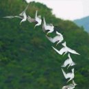 통영바다펜션 이미지