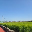 4월 넷째주 주말일기_260424~26_하편 (체함 이슈, 대명한우갈비살)