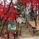 머내과학 공원 이미지