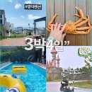 거안1길 | 영덕 통영 거제 3박4일 가족여행 코스 비용