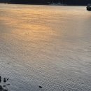 복돼지 국밥 이미지