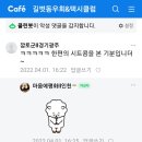 2022/04/01 그놈 성남은 잘 갔으려나... 이미지