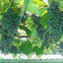 농기계공작실 이미지