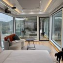 숲속 나들이 펜션 | 담양 애견동반펜션 리사숲속마을 우주마을 vs 엘리의집 광주근교나들이 숲캉스