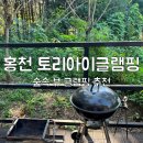 홍천 토리아이글램핑장 서울근교 글램핑장 후기_내돈내산