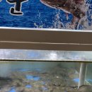 죽천마을회관 | 포항 흥해맛집 고추장물회의 죽천회타운 내돈내산후기