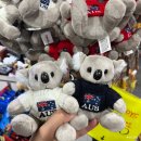 S복싱스쿨 | 패디스마켓 시드니 기념품 파는 곳 코알라 키링 Paddy's Markets