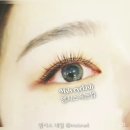 엠시스(MSIS) 네일
