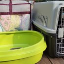 백호켄넬 이미지