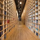 지혜의숲 이미지