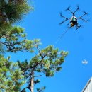 신안군보건소 이미지