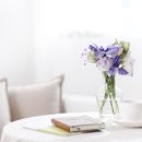 9급 사서공무원 응시자격 경쟁률 합격전략 이미지