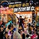 증평실내체육관 | 버블쇼 섭외문의 청주 보은 초등학교 지역행사 비누방울 마술공연 후기