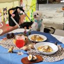 산삼자연휴양림(함양) 이미지