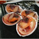 맛깔도시락 - 통영시 | 맛깔도시락