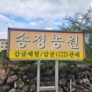 송정 | 제주 감귤따기 체험 동쪽 제주송정농원 예약 할인 후기