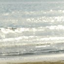 경남비디오 이미지