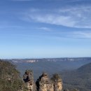 나나블루 | [🇦🇺시드니] 페더데일 동물원+블루마운틴+별보기 투어 비추 후기