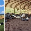 유라이크 이미지