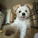 도동아구찜 | [블챌] 군산 2박 3일