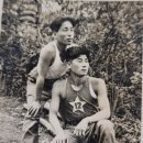 휴전 이미지