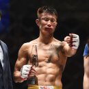 라이프짐MMA 이미지