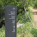 태강철강 | 차타고 떠난 경북 군위 부계면 사진 맛집 사유원 솔직 후기 및 예약방법