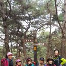 평창송어회 이미지