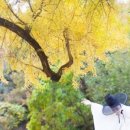 숲속체험마을협동조합 이미지