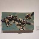 도예교실 이미지