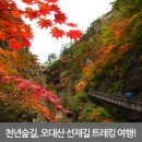 10월23일(금) 천년숲길, 오대산 선재길 힐링테라피 투어 이미지