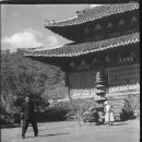 광법사 이데일리