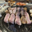 도야지 친구들 이미지