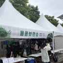 2026 서울파크뮤직페스티벌 후기, 늦장 대응 빡침, 가방검사, 준비물, 관람후기, 음향 구림