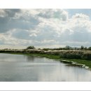 강가의 추억 이미지