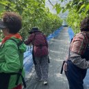 부안군 치매센터 이미지