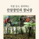 에스이컴퍼니 네이버블로그