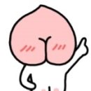 붕붕카마스타 네이버블로그
