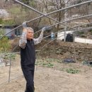 행복양계장 이미지