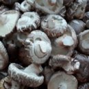 호접치자연팜 이미지