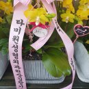 황예숙결혼갤러리 이미지